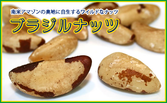 スナッキー ミックスナッツ缶 650g ブラジルナッツ