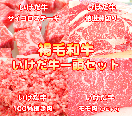 褐毛和牛　いけだあか牛一頭セット　