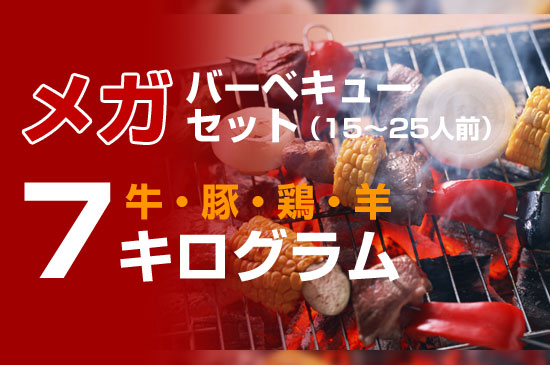 7ｋｇ ◆メガバーベキュー・BBQセット 2015◆　15～25人前 　