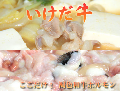 褐毛和牛　いけだ牛のホルモンミックス　400ｇ　（もつ鍋にも）　