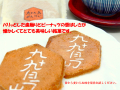 �彽���礻��ڤ���24����