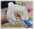 ¥³¡¼¥Æ¥£¥ó¥°¥×¥ê¥¶¡¼¥Ö¥É¥Õ¥é¥ï¡¼