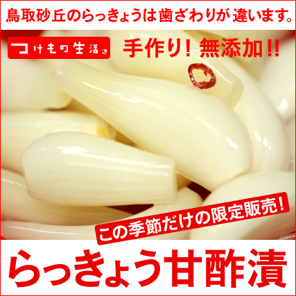 らっきょう甘酢漬