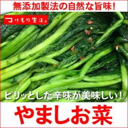 やましお菜 山汐菜 山汐漬 やましお漬