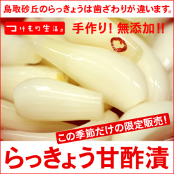 らっきょう甘酢漬