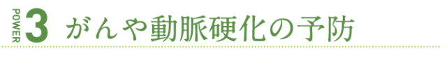 リピーター続出！手作り！無添加！！白菜漬