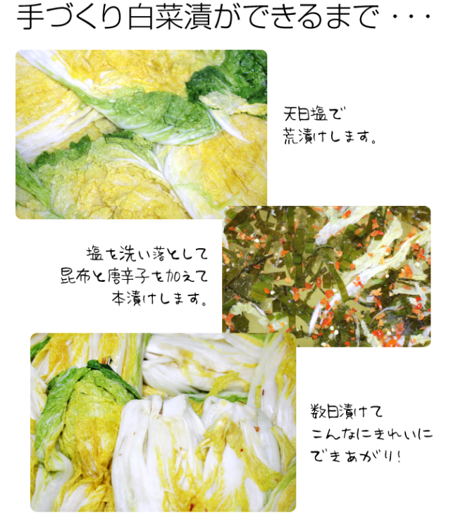 リピーター続出！手作り！無添加！！白菜漬