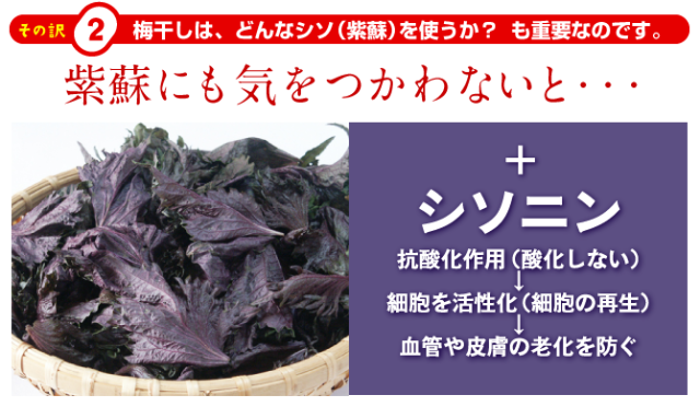 南高梅梅干し、無添加、手づくり
