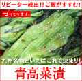 青高菜漬
