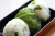 青高菜漬
