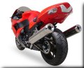 hotbodies racing,��������ơ���, �ۥåȥܥǥ�����,zx14