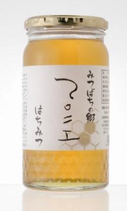 �ޥ��˥�600