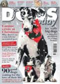 Dogs today �ʥ����ꥹ�λ��������ɡ�1,120��x12������