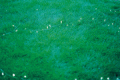 ��⥻�ҥ������ݥ��ȥ����ɡ�no.6 ����