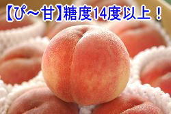 �������ϡɲ�Ǽ��������� ���8�̡�9������ ����14�ٰʾ塪����ڤԡ��š���Ȣ ����35���������Ⱦ�ͥ���޼��ޡ�