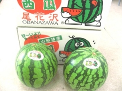 ��������ʤ���������2�����ڣͣ���5�̡�