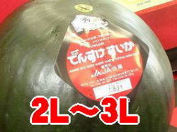 �Ǥ󤹤����������ǹ���������ʡ�2�̡�3�̥��������̳�ƻ����