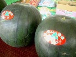 �������������ڻ��������ۡ��ͣ���5�̡�2����