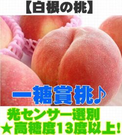 �������ޡ��򺬤���������13��5�ٰʾ���ý��ʡ�13�̡�18�̡ڿ��㻺��