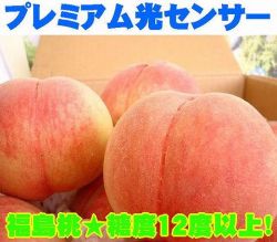 �ץ�ߥ�������󥵡�������ʡ�绺�� ������12��5�ٰʾ塪�����13��16��