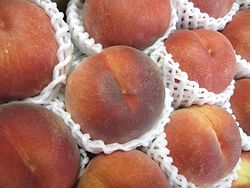 Ĺ����������13�ٰʾ塪����������ʤ��餭�����Ȣ����8�̡���11�̡�Ĺ�����
