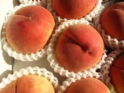 ̣������ ����13.5�ٰʾ� ��Ȣ��6�̡�7������ڻ���������