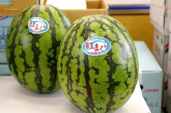 �Ȥޤ��饹��������2�����ס��̡�4�� �ڿ���������ڤӻ�������