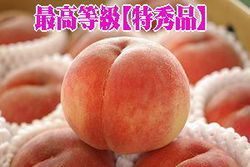 ��ʡ��Υ���ԡ�������Ȣ 6�̡�7�̡��ǹ��󥯡��ý��ʡۤ���������