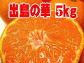 ����βڤߤ����Ĺ�껺�� ��5kg ��M���̡�  �ä��Ρ�����14�ٰʾ�!Ĺ����֥��ɥߥ����
