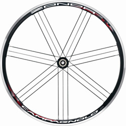�J���p�j���[�� ���[���X2way-fit �V�}�m�p