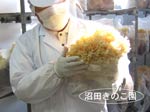 �ϥʥӥ饿��ȯ����