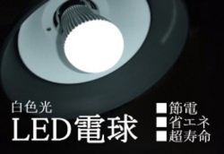 LED�ŵ��ȿ���6W��