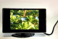 3.5�����TV��˥�����Ķ�����֤���