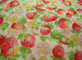 LECIEN 30's ?���㡽�ߥ󥰥٥꡼ ���������(��110cm�ҡ�50cm��