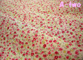 ������ե롼�� �ץ� ������ߥ�åɡ���110cm����50cm��
