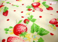 �ɥåȥ��󥹥ȥ��٥꡼ ������ߥ�åɡ���110cm����50cm��