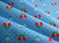 LECIEN��30's �ĥ���٥꡼ �֥롼(��110cm�ҡ�50cm��