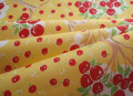 ���åץ�ĥ꡼����������(��110cm�ҡ�50cm)