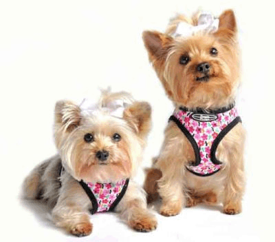 B- Ultra Choke Free Pink Floral Bouquet Harness