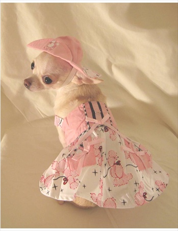 Platinum Puppy Couture（プラチナパピークチュール）ドッグウェア Posh Poodle Dog Harness Dress ポッシュ プードル ハーネス ドレス セット