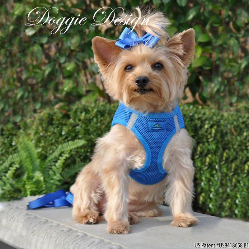 Doggie Design（ドギーデザイン）American River Ultra Harness Royal Blue アメリカン リバー ウルトラ ハーネス ロイヤルブルー