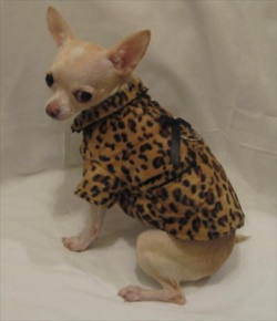 Platinum Puppy Couture（プラチナ パピー クチュール）Fur Baby Cheetah Print Dog Coat ファー ベビー チーター プリント コート