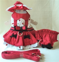 ポルカ レッド レディーバグ ハーネス ドレス セット