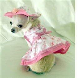 Baby Girl Dog Harness Dress ベビー ガール ハーネス ドレス セット