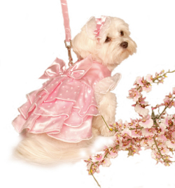 Sweetheart Pink Satin Garden Dress スイートハート ピンク ガーデン ドレス セット