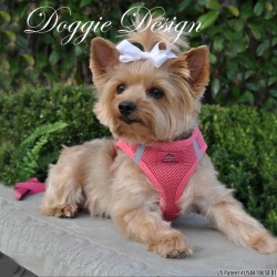 Doggie Design（ドギーデザイン）American River Ultra Harness Honeysuckle Pink アメリカン リバー ウルトラ ハーネス ハニーサックル