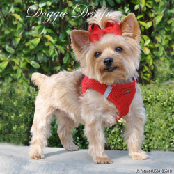 Doggie Design（ドギーデザイン）American River Ultra Harness Red アメリカン リバー ウルトラ ハーネス レッド