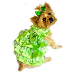 Doggie Design（ドギーデザイン）Green, White and Gold Organza Dress グリーン ホワイト ゴールド オーガンザ ドレス