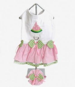 【Doggie Design】B- Watermelon Embroidered Dress W/ Veil Hat & Leash