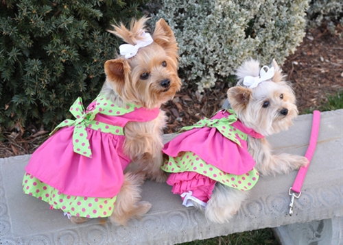 Doggie Design（ドギーデザイン）Hot Pink and Lime Green Polka Dot Dog Dress Set ホット ピンク ポルカドット ドレスセット
